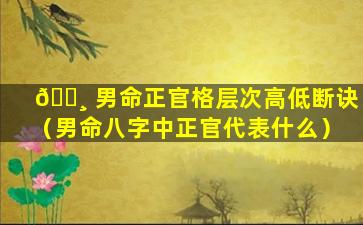 🕸 男命正官格层次高低断诀（男命八字中正官代表什么）